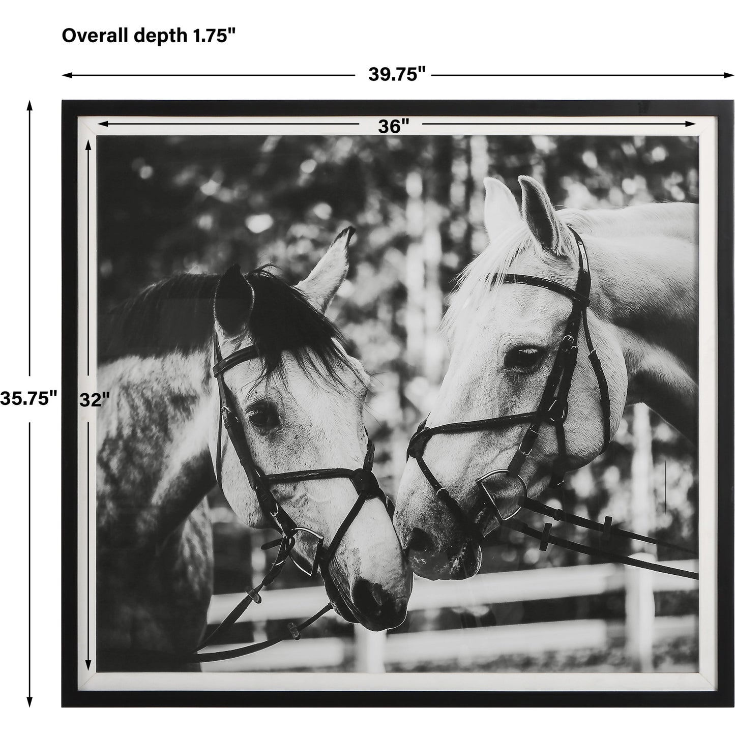 002 SI-1981479 | Additional Silo | Apple of My Eye Framed Print by Uttermost in black, white. Made from pinewood, glass, mdf, paper, linen in a modern style.