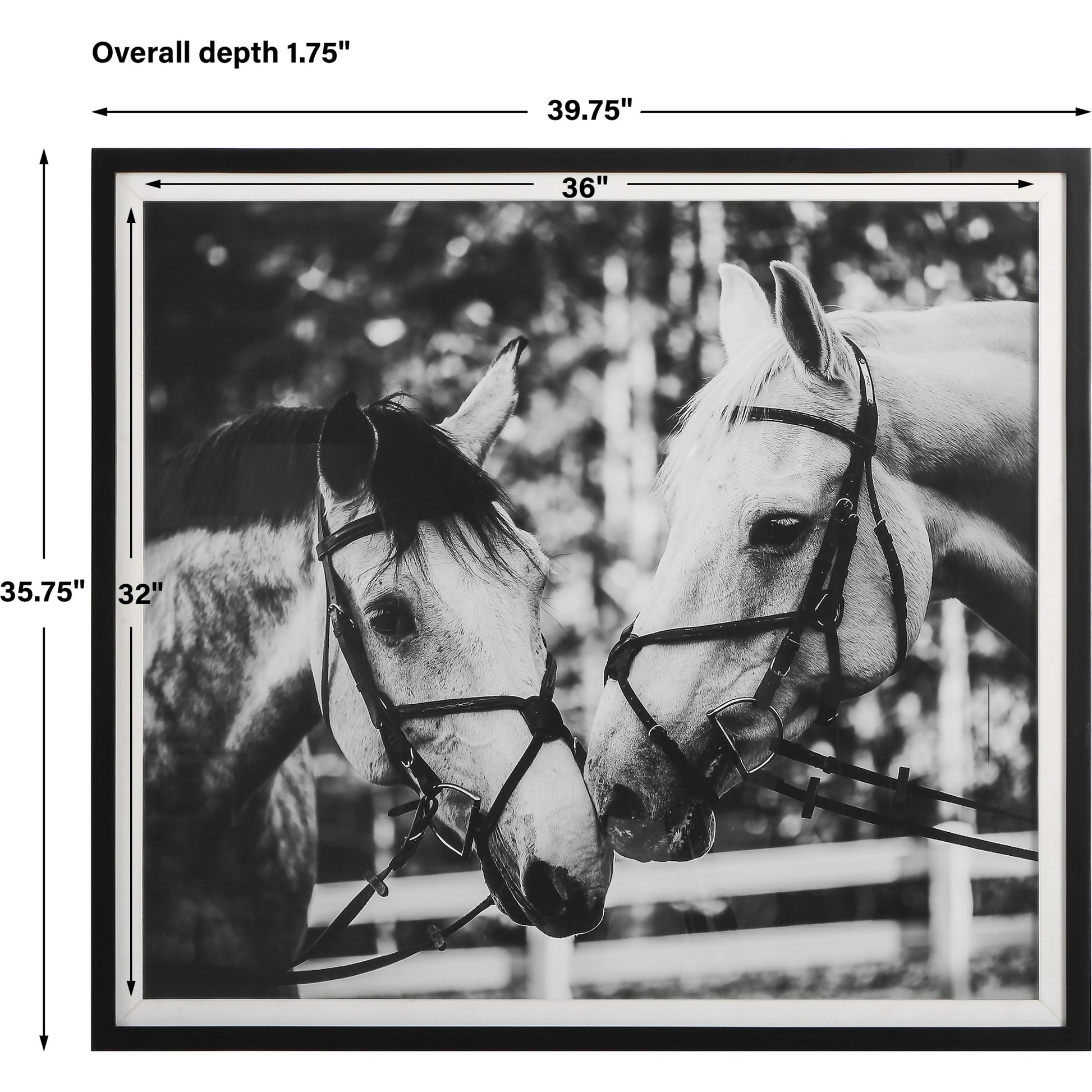 Apple of My Eye Framed Print by Uttermost in black, white. Made from pinewood, glass, mdf, paper, linen in a modern style.