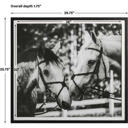 Apple of My Eye Framed Print by Uttermost in black, white. Made from pinewood, glass, mdf, paper, linen in a modern style.