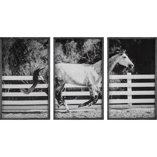 Galloping Forward Equine Prints by Uttermost in multi and black. Made from pinewood, mdf, glass, paper in a modern style.