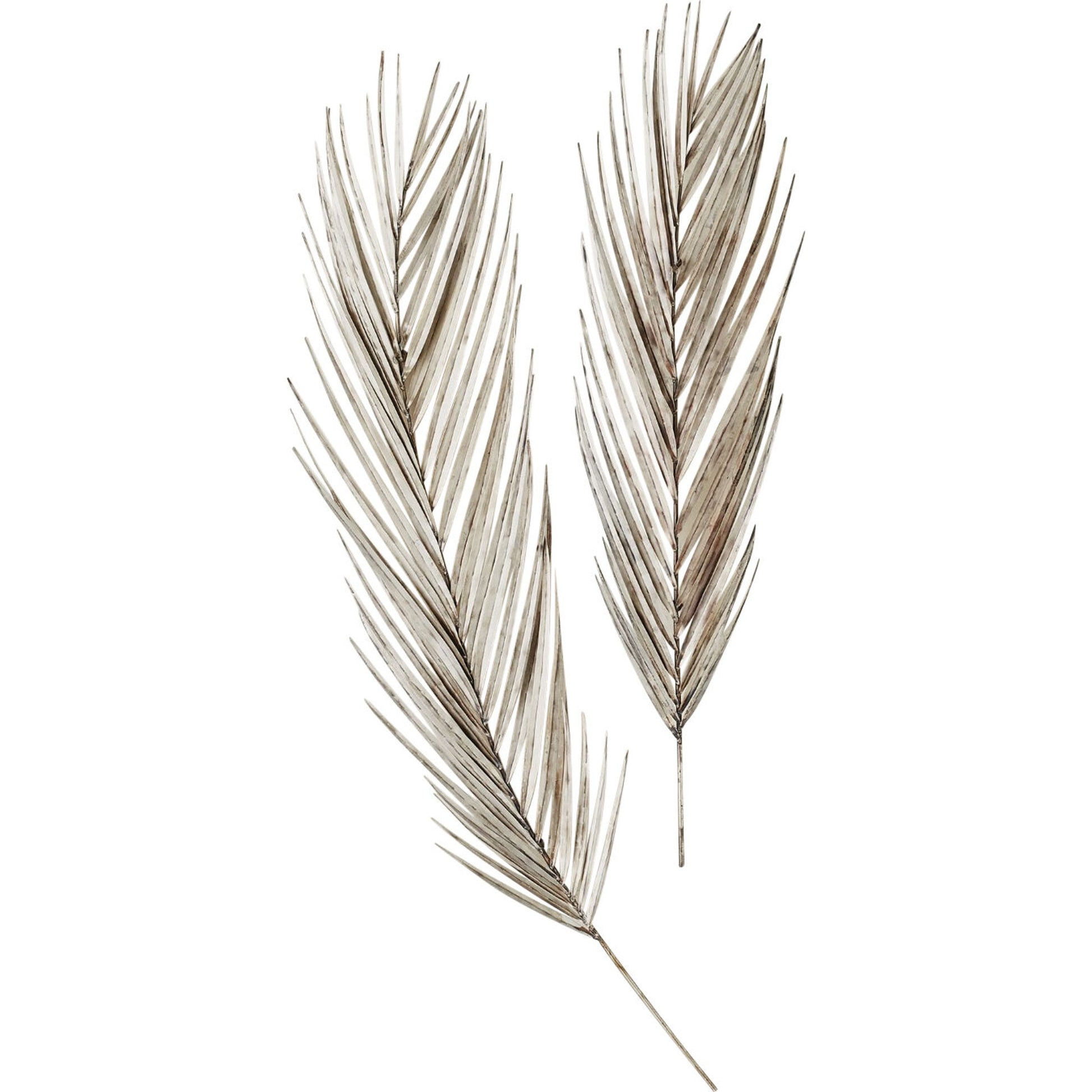 Palm Leaf by Global Views in antique brass. Made from brass, metal pipe in a modern style.