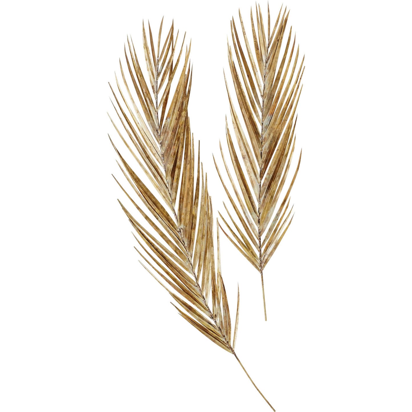 001 SR-892750,SR-892751 | Primary Silo | Palm Leaf by Global Views in antique brass. Made from brass, metal pipe in a modern style.