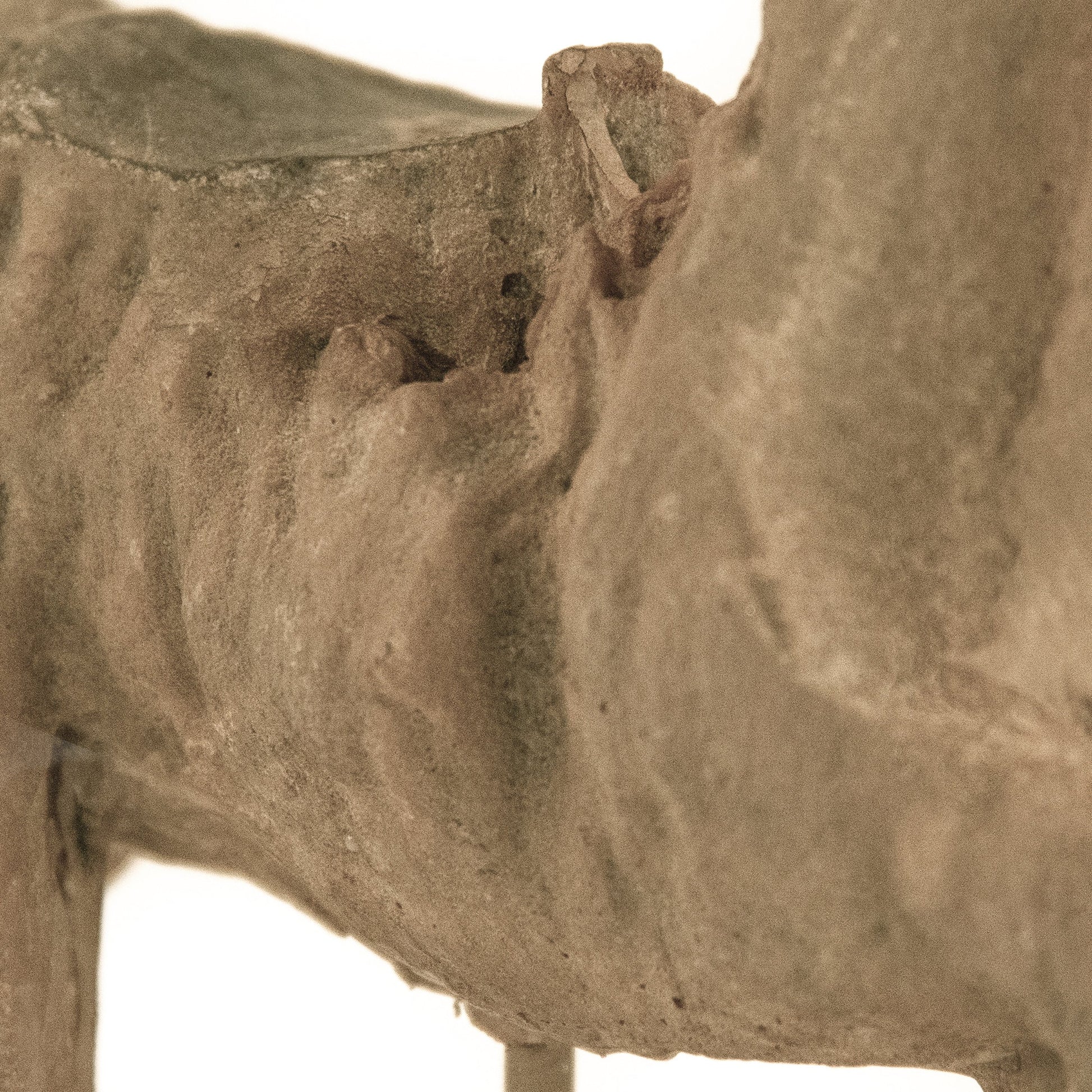 Resin Horse on Stand by Zentique in resin, metal. Made from resin, metal in a traditional style.