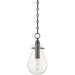 Ivy Pendant by Hudson Valley. Made from steel in a transitional style.