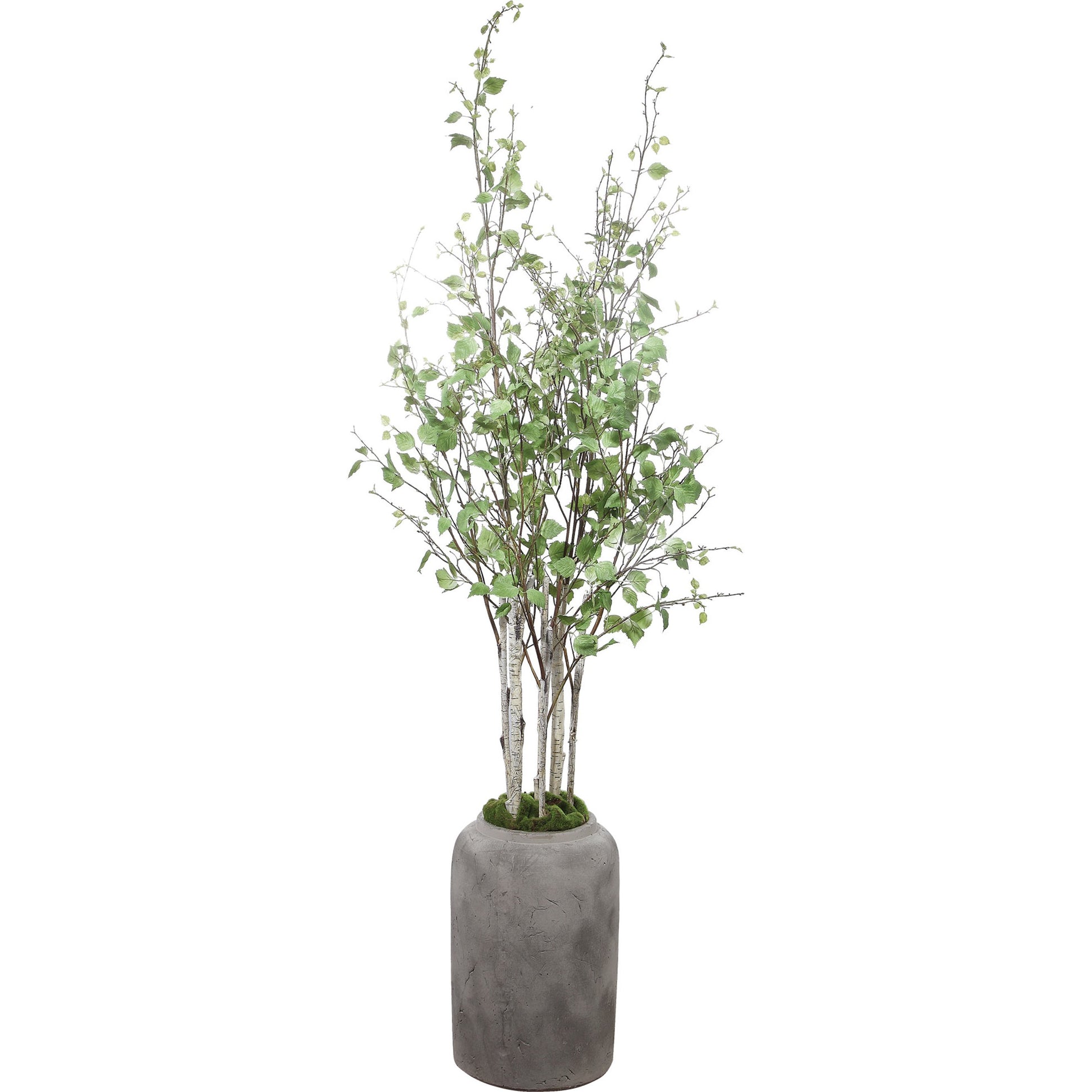 Aldis Potted River Birch by Uttermost. Made from polyester, plastic, iron, vase in a modern style.