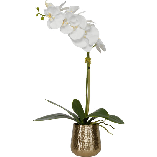 Cami Orchid I by Uttermost in brass. Made from polyester, metal, foam, bamboo in a traditional style.