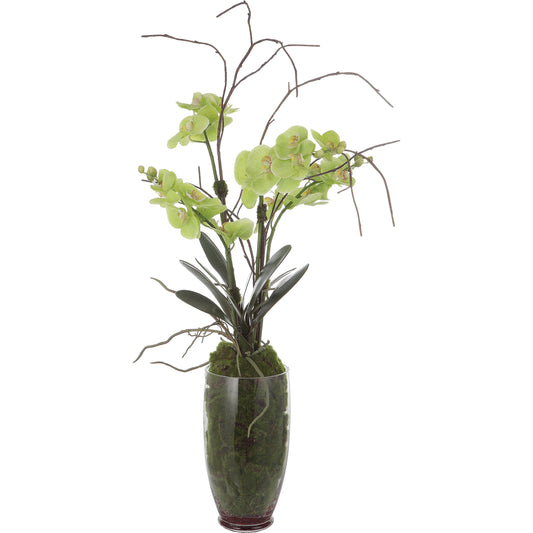 Valdive Orchid by Uttermost in green. Made from polyester, polyfoam, plastic, glass in a modern style.