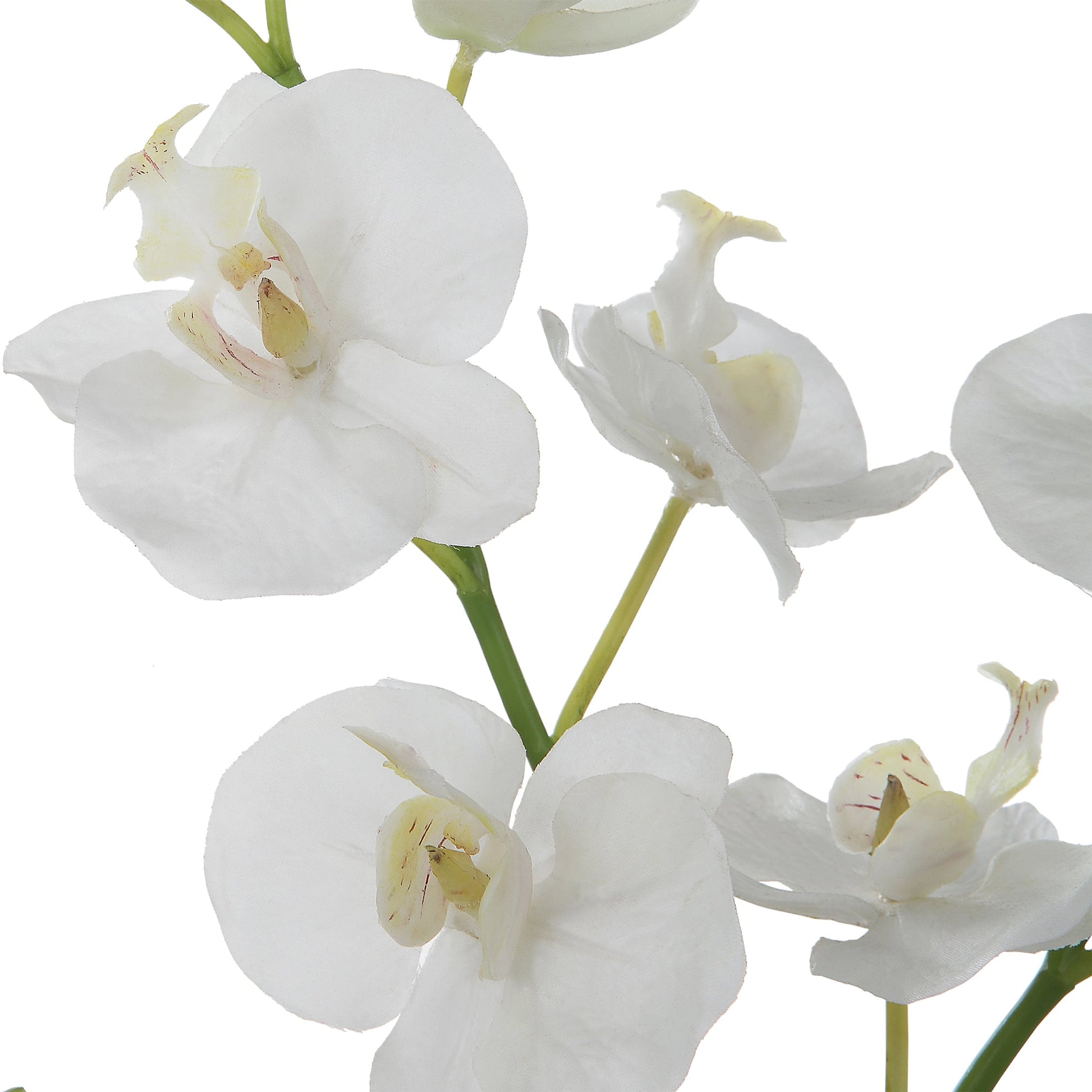 Glory Orchid by Uttermost in white. Made from polyester, plastic, iron, stone, glass in a modern style.