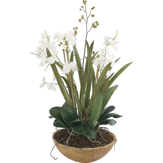 Moth Orchid Planter by Uttermost. Made from polyester, plastic in a cottage & farmhouse style.