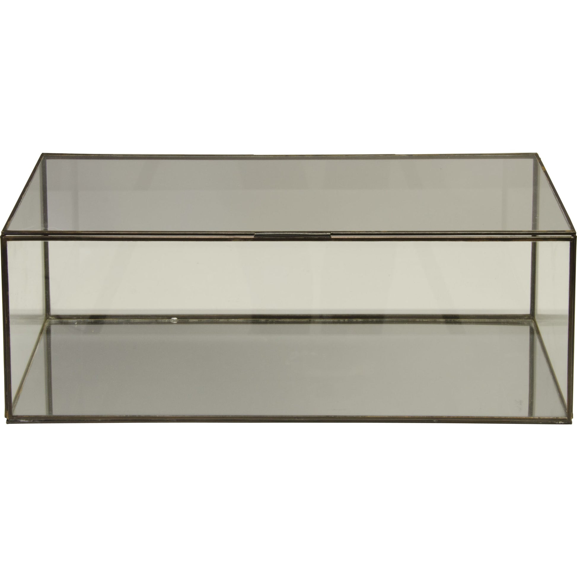 Smoked Glass Box by Worlds Away in mirror and mirror. Made from metal, glass in a modern style.