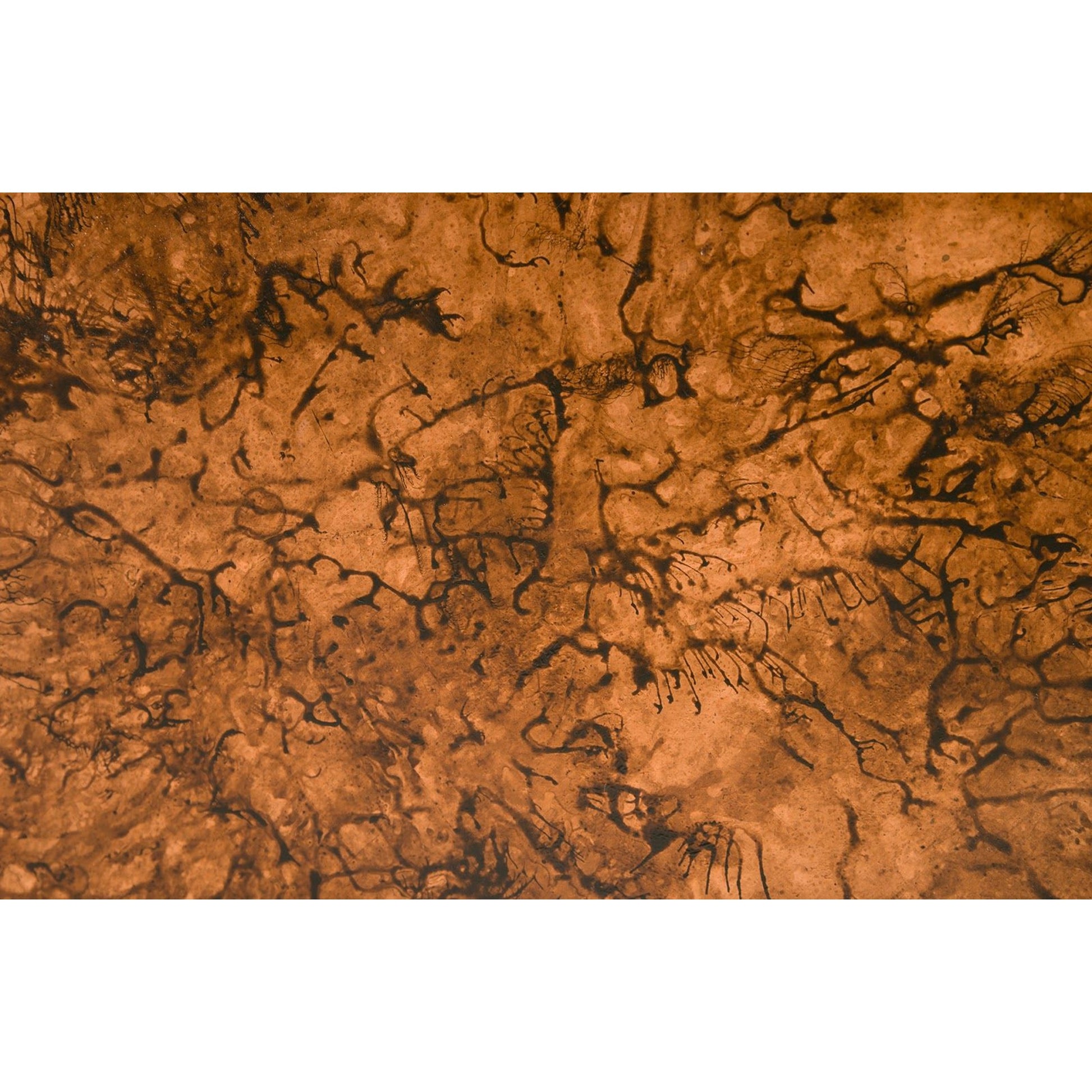 Button Wall Art by Phillips Collection in chartreuse and lichen. Made from fiberglass in a modern style.