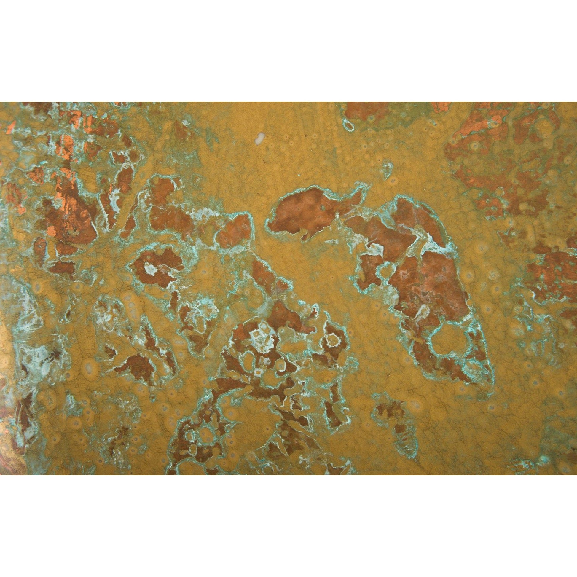 Button Wall Art by Phillips Collection in chartreuse and lichen. Made from fiberglass in a modern style.