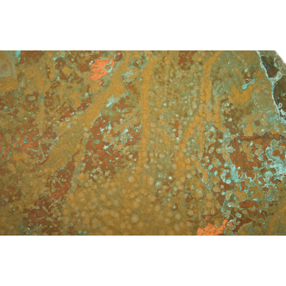 Button Wall Art by Phillips Collection in chartreuse and lichen. Made from fiberglass in a modern style.