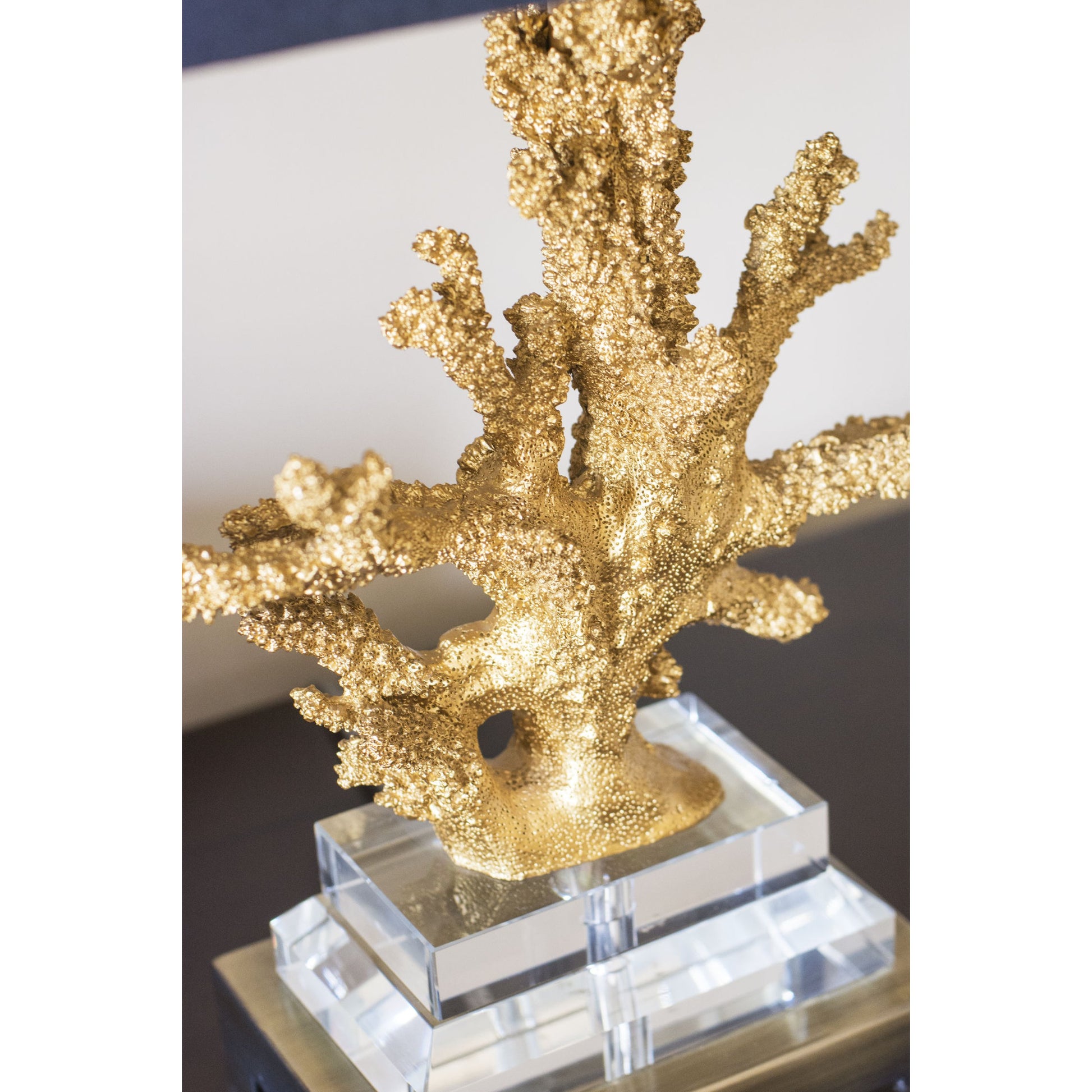 Gold Coral Table Lamp by Couture Lamps in gilt gold resin, k9 optic crystal, brushed brass. Made from resin, crystal, brass in a coastal style.