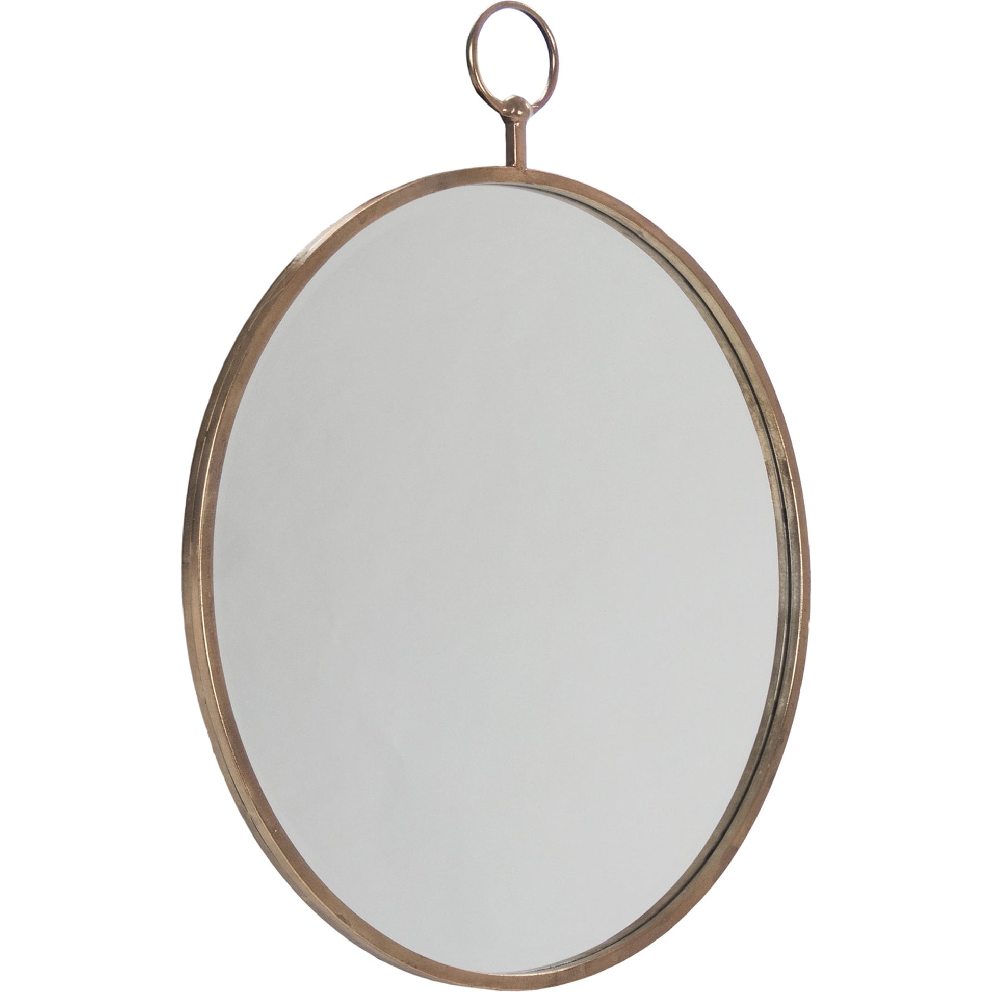 Pasha Mirror by Zentique in antique bronze and resin, mirror, mdf. Made from resin, mirror, mdf in a transitional style.