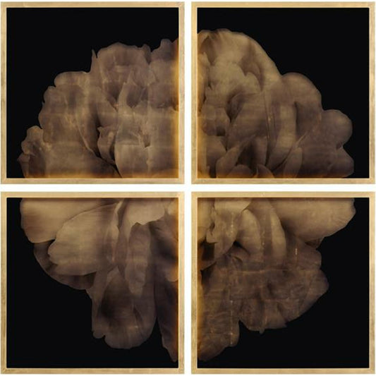 Mark McDowell's Shi Hana by John-Richard in champagne, gold. Made from acrylic in a unique style.