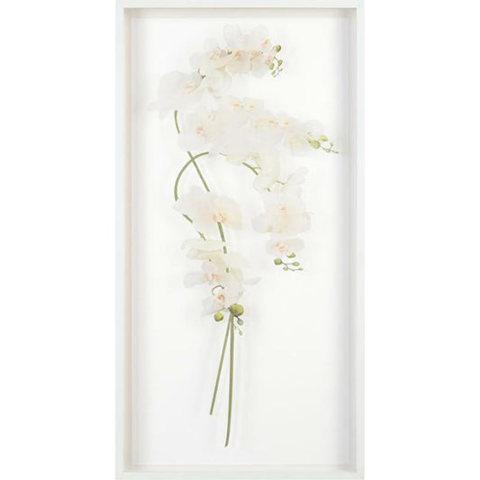 Study of Orchids I by John-Richard in white. Made from acrylic in a transitional style.