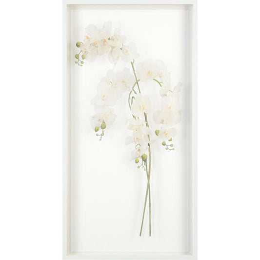 Study of Orchids II by John-Richard in white. Made from acrylic in a transitional style.
