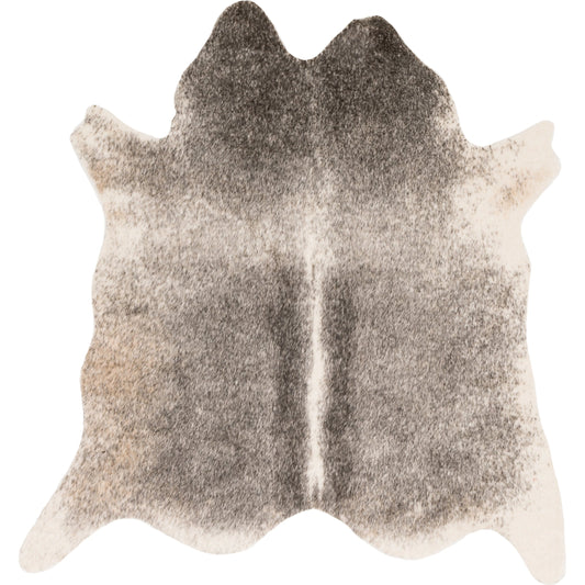 Grand Canyon GC-11 Rug by Loloi II in gray, ivory. Made from 100% acrylic in a rustic style.