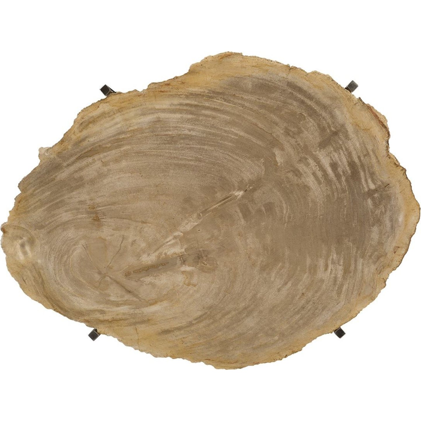 002 SR-820745 | Additional Silo | Petrified Wood Tray by Phillips Collection in brown, silver. Made from petrified wood in a modern style.