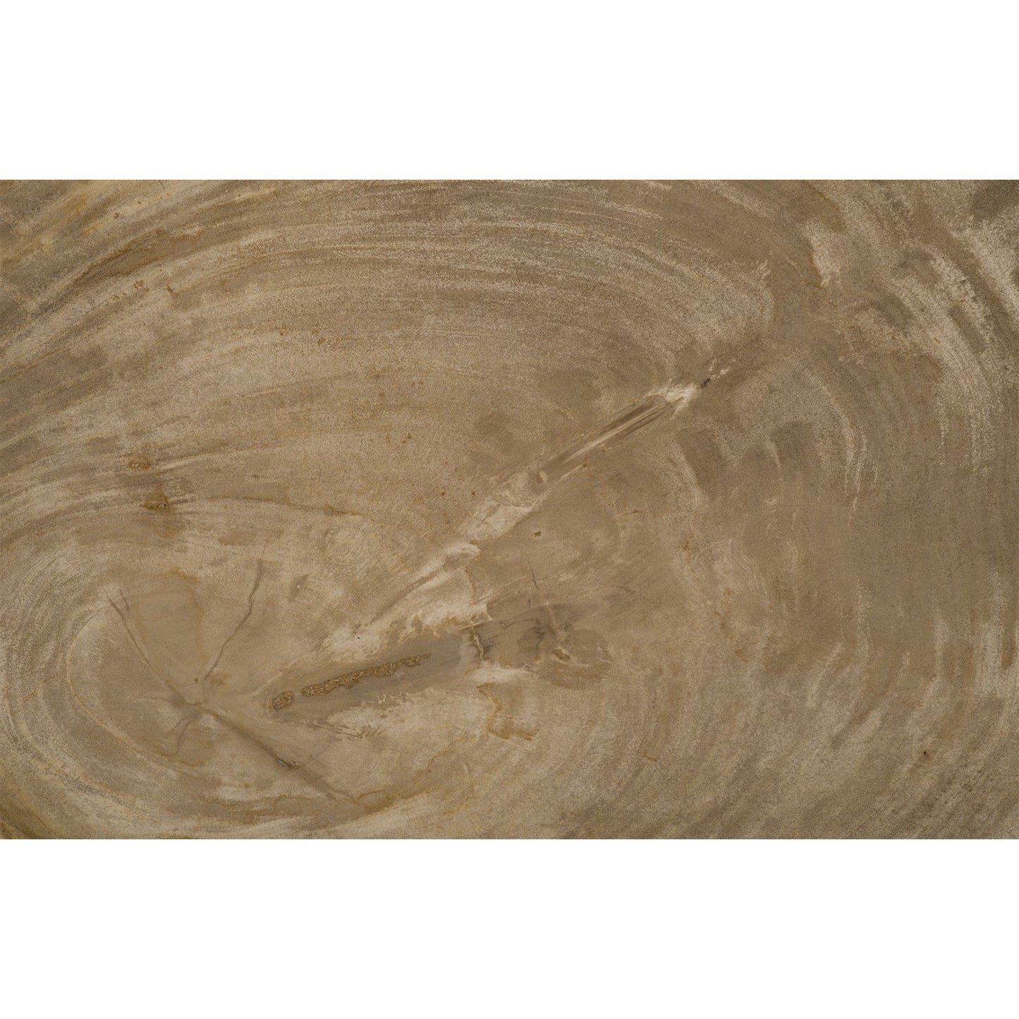 003 SR-820745 | Closeup | Petrified Wood Tray by Phillips Collection in brown, silver. Made from petrified wood in a modern style.