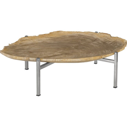 Petrified Wood Tray by Phillips Collection in brown, silver. Made from petrified wood in a modern style.