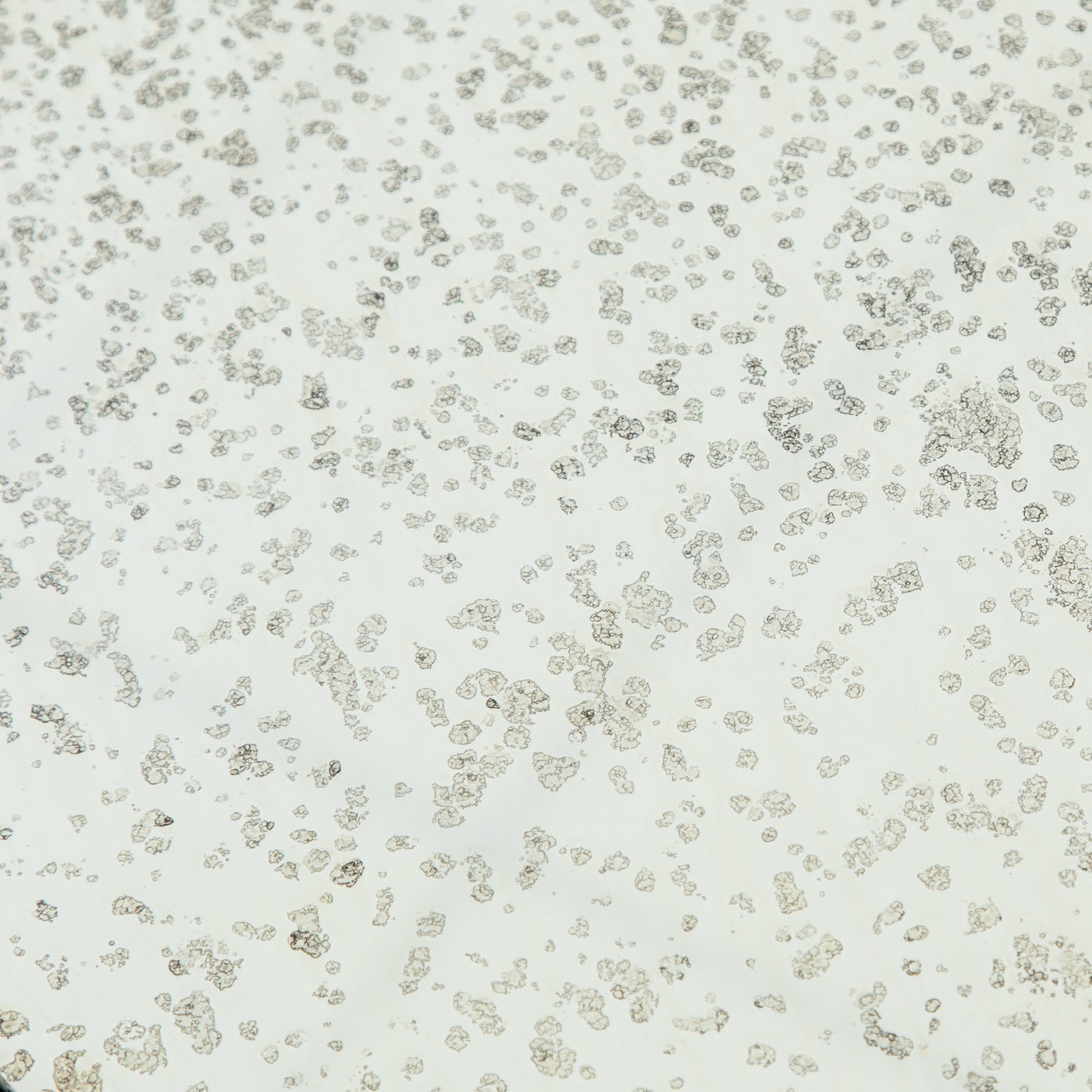 Marlow Mod Pedestal Table by Four Hands. Made from glass, aluminum, engineered hardwood in a modern style.