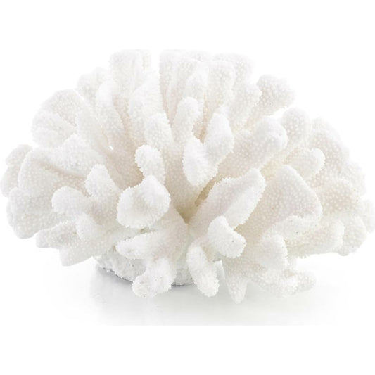 Maldives Coral by John-Richard in natural. Made from unique in a coastal style.