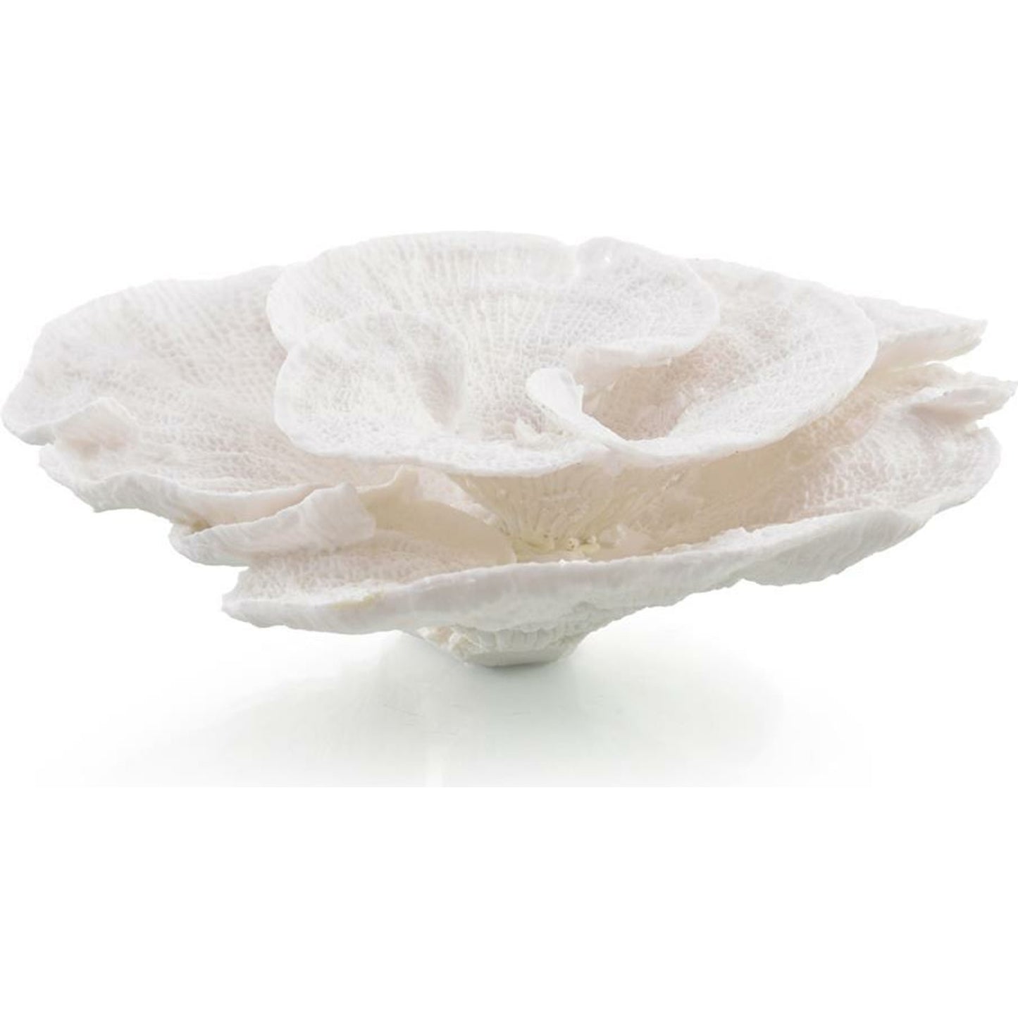 000 SR-863996 | Primary Silo | Foliose Coral by John-Richard in natural. Made from unique in a coastal style.