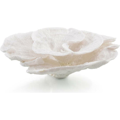 Foliose Coral by John-Richard in natural. Made from unique in a coastal style.