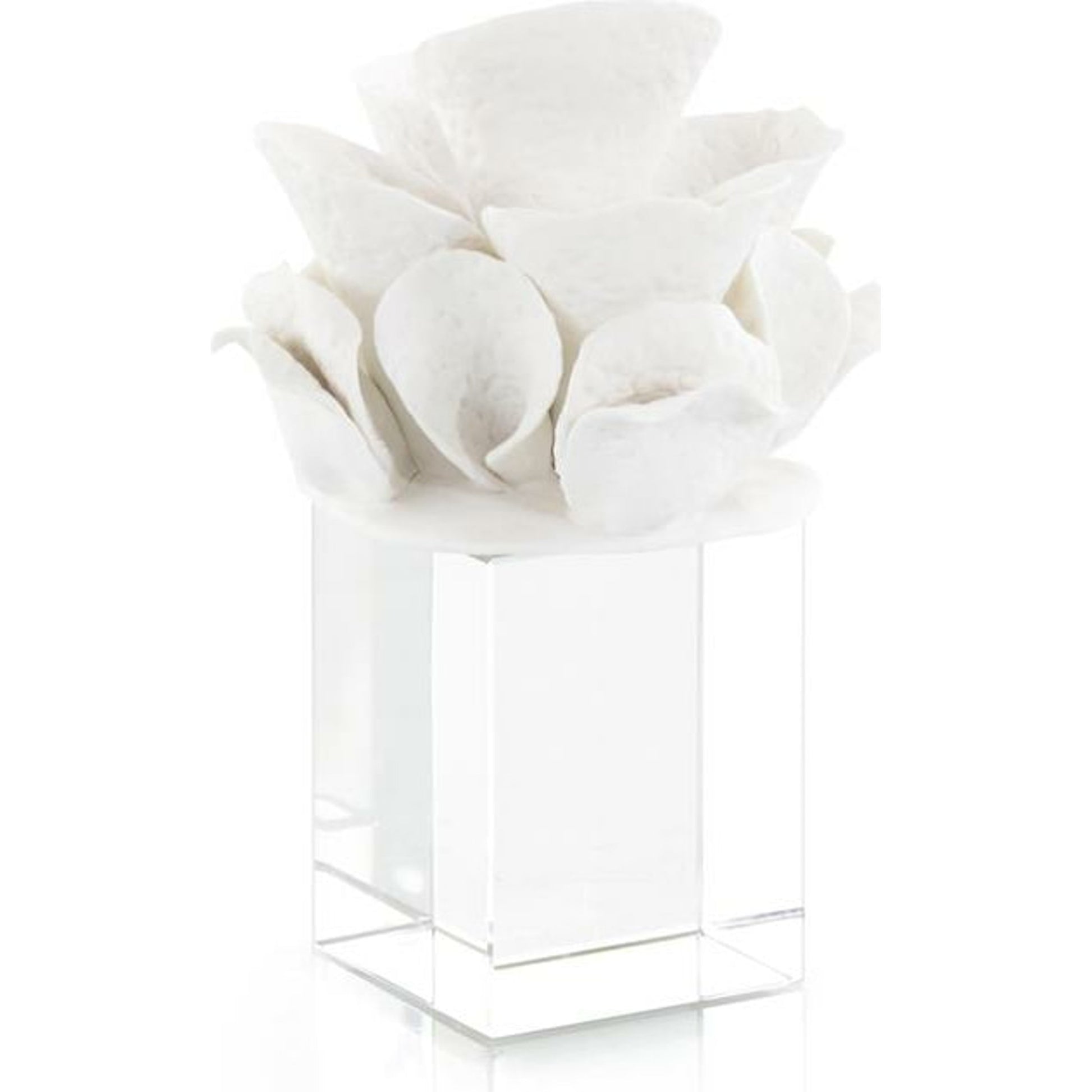 Ceramic Coral Reef Sculpture I by John-Richard in white. Made from ceramic in a coastal style.