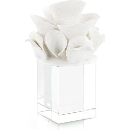 Ceramic Coral Reef Sculpture I by John-Richard in white. Made from ceramic in a coastal style.
