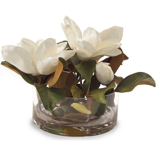 Magnolia Grandiflora by John-Richard in natural. Made from unique in a coastal style.