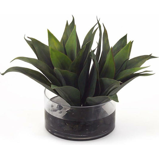Aqua Agave by John-Richard in black. Made from unique in a coastal style.