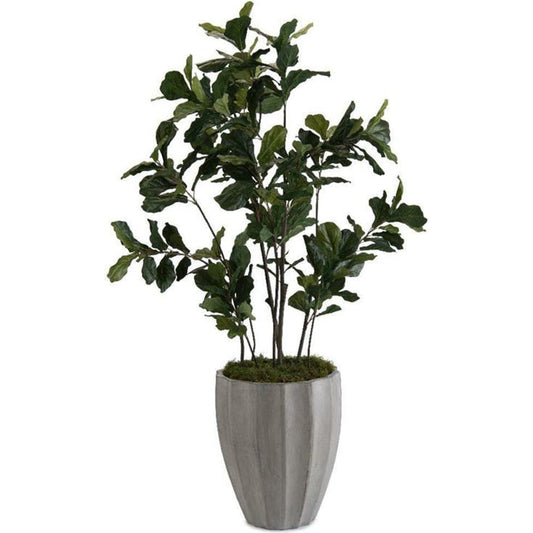Fiddle Leaf Fig Tree I by John-Richard in natural. Made from unique in a modern style.