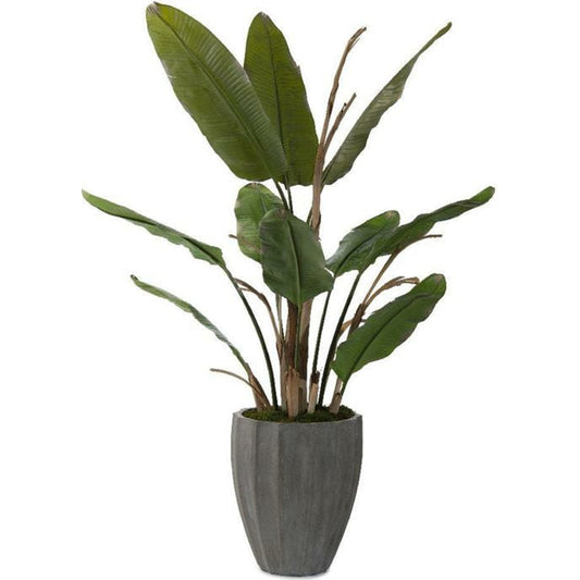 Banana Tree by John-Richard in gray. Made from unique in a coastal style.