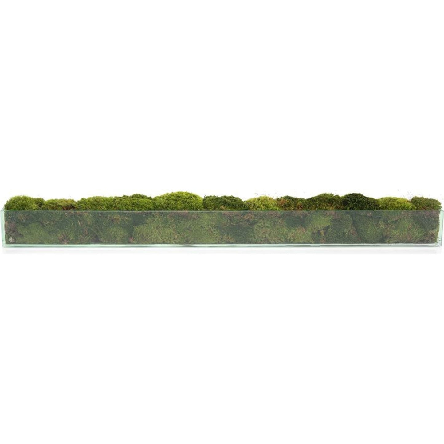 000 SR-864960 | Primary Silo | Moss Mounds by John-Richard in natural. Made from glass in a modern style.