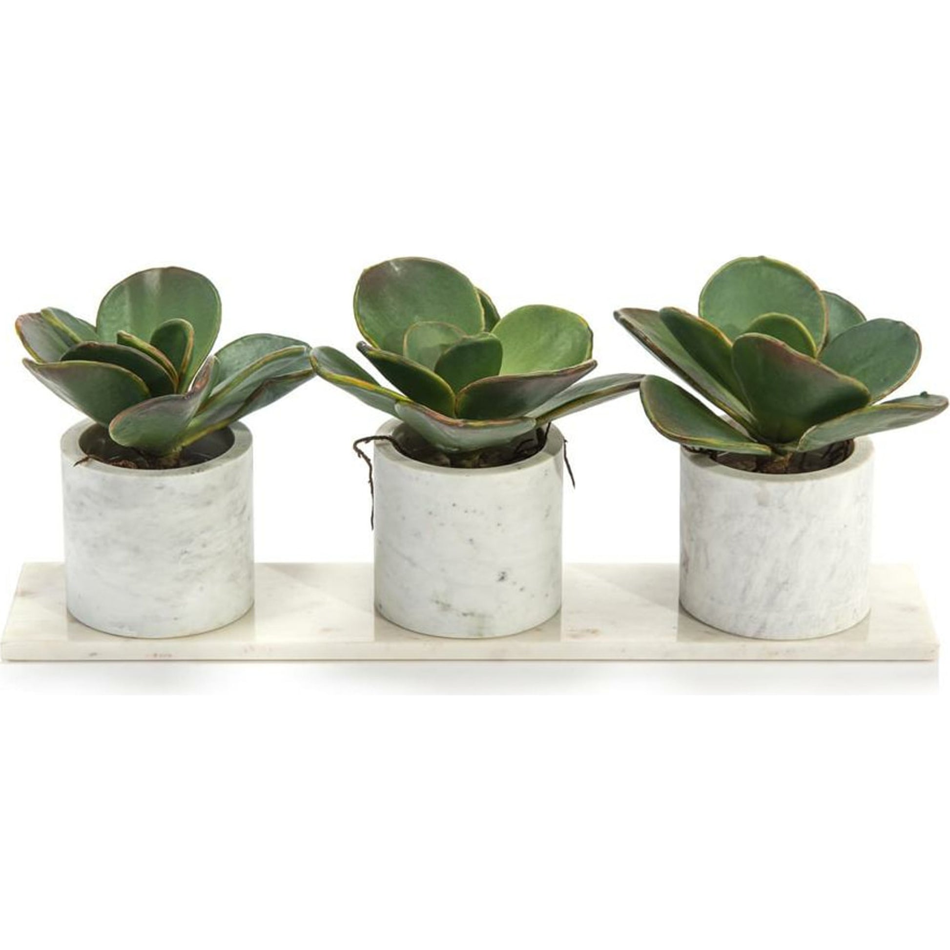 Marble Succulents by John-Richard in natural. Made from unique in a cottage & farmhouse style.