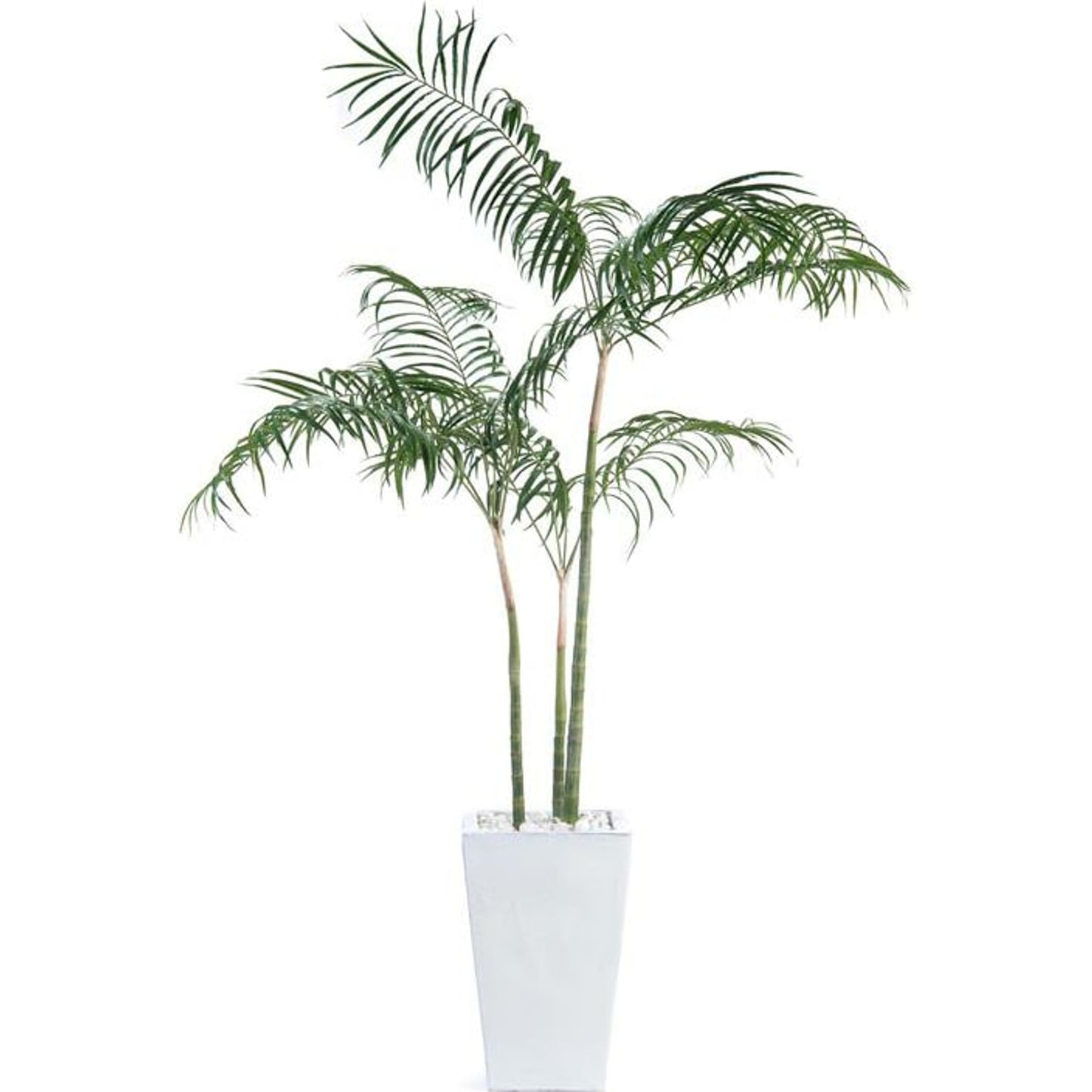 001 SR-866163 | Primary Silo | White Palms by John-Richard in white. Made from unique in a coastal style.