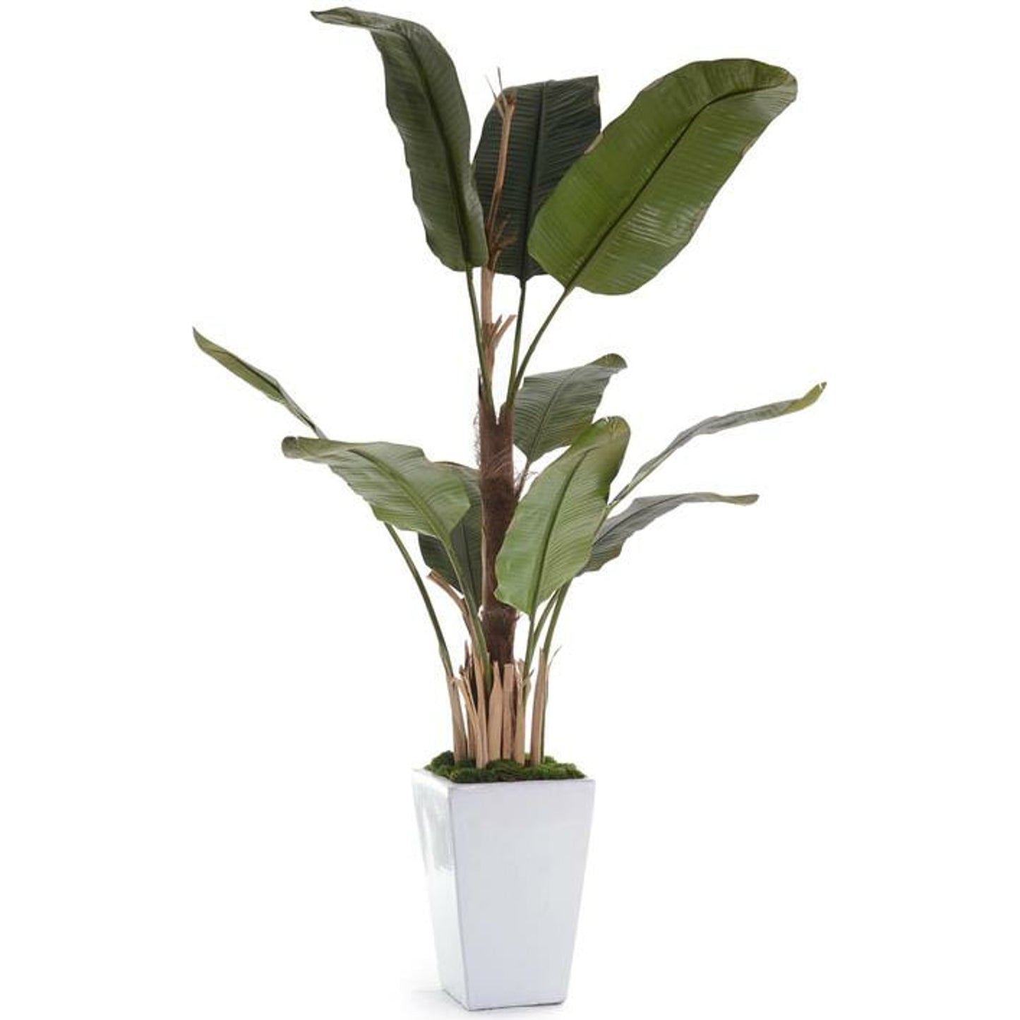001 SR-864099 | Primary Silo | Glacier Banana Tree by John-Richard in white. Made from unique in a coastal style.