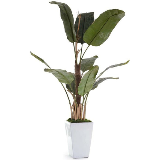 Glacier Banana Tree by John-Richard in white. Made from unique in a coastal style.