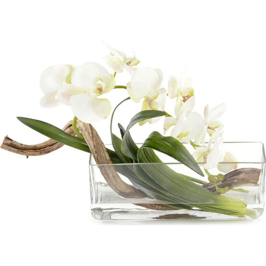 Curly Orchid by John-Richard in natural. Made from glass in a coastal style.