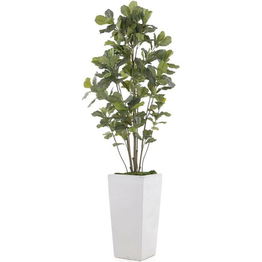 Grey White Fig by John-Richard in gray, white. Made from unique in a modern style.