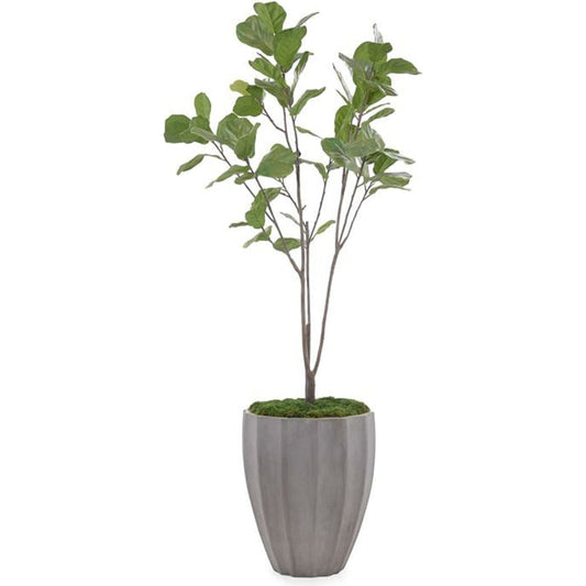 Organic Fig by John-Richard in gray. Made from unique in a modern style.