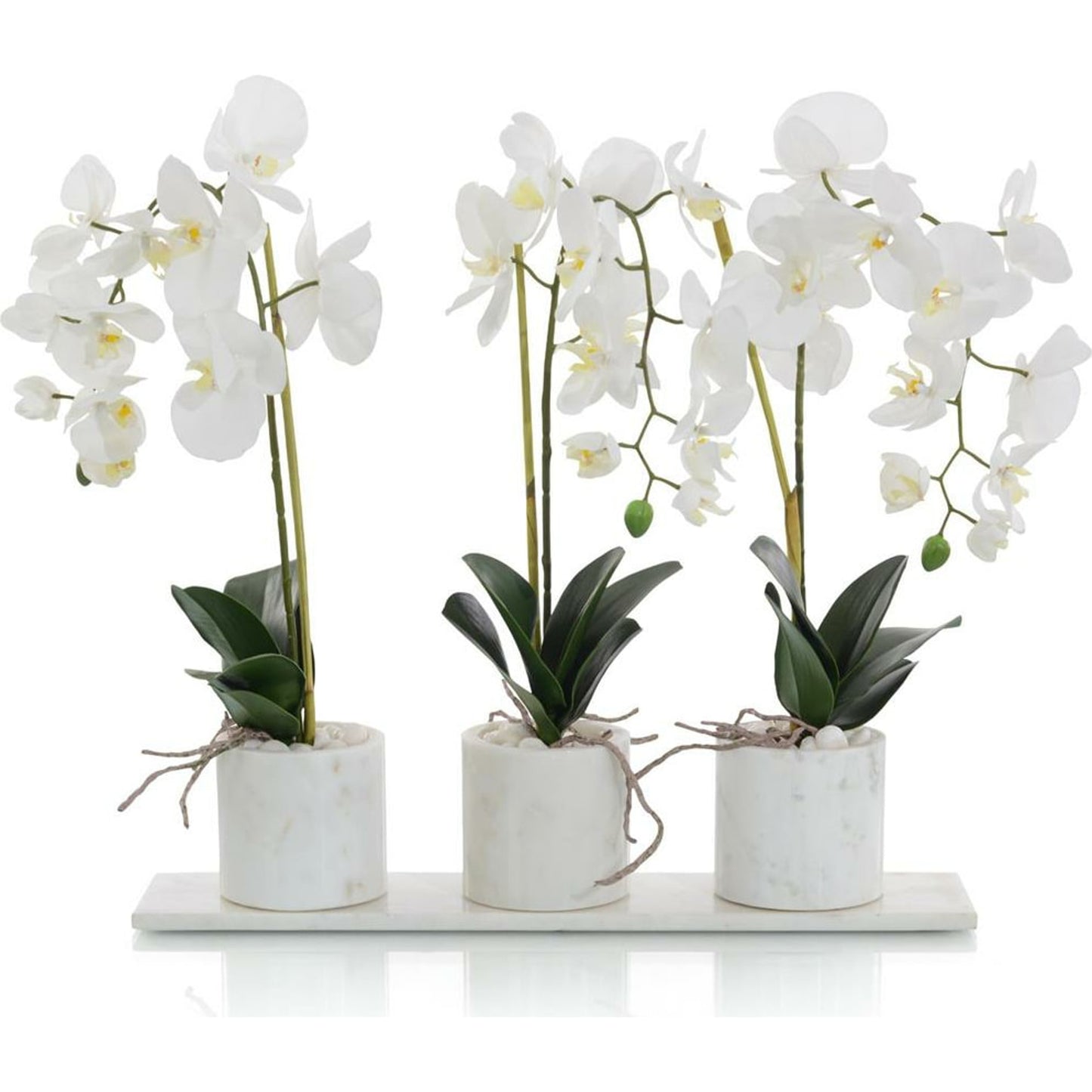 001 SR-884752 | Primary Silo | Marble Phalaenopsis Orchids by John-Richard in natural. Made from unique in a coastal style.