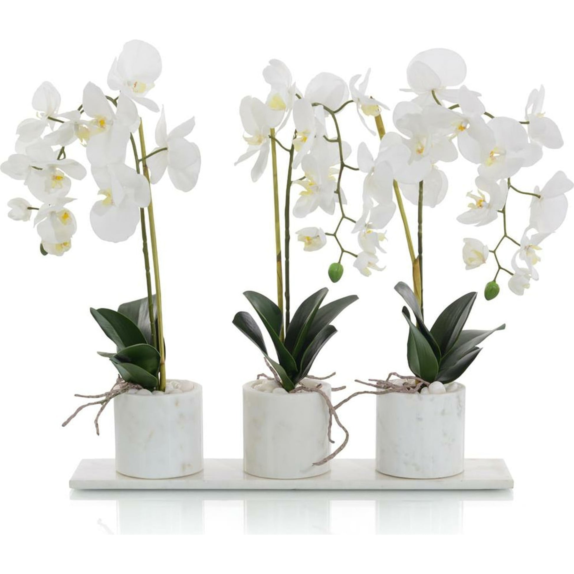 Marble Phalaenopsis Orchids by John-Richard in natural. Made from unique in a coastal style.