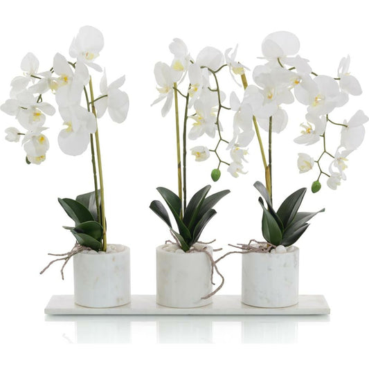 Marble Phalaenopsis Orchids by John-Richard in natural. Made from unique in a coastal style.
