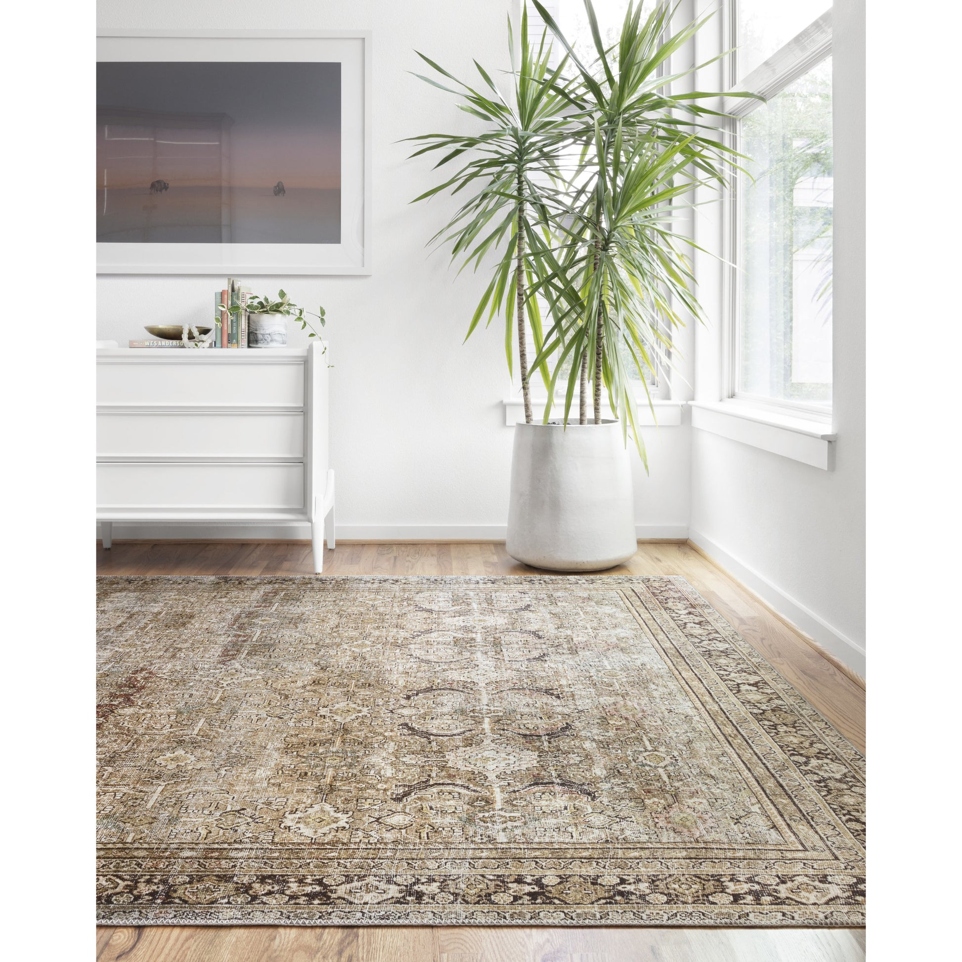 Layla LAY-03 Rug by Loloi in olive, charcoal. Made from 100% polyester, cotton canvas backing in a traditional style.