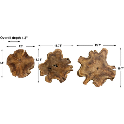 Kalani Teak Wall Art (Set of 3) by Uttermost in multi and teak. Made from teak wood with iron metal in a rustic style.