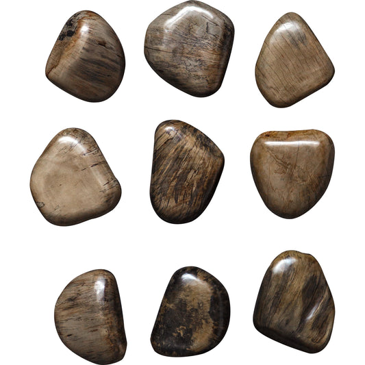 Pebbles Wall Decor by Uttermost. Made from tamarind wood in a modern style.